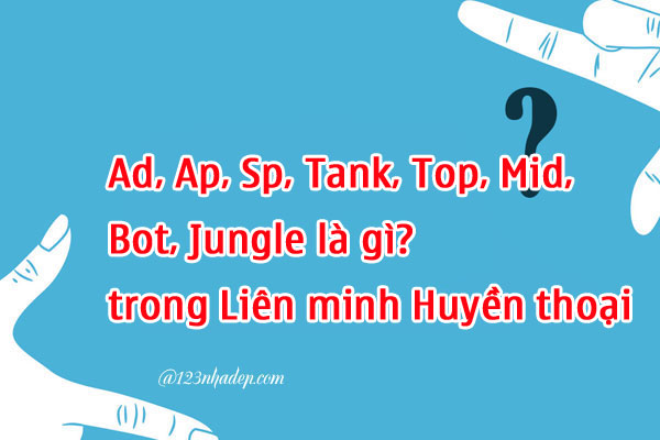 Ad, Ap, Sp, Tank, Top, Mid, Bot, Jungle là gì?