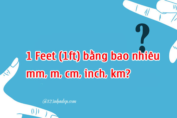 Feet là gì?