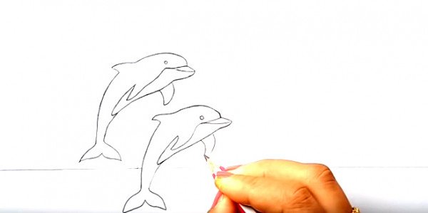 Vẽ hai chú cá heo bằng chì như hình ảnh minh họa bên dưới