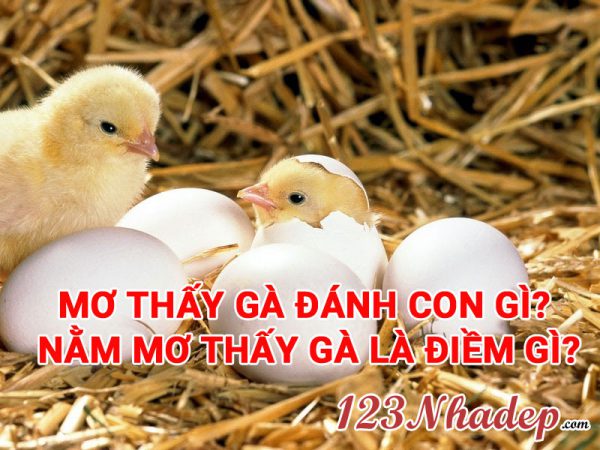 Mơ thấy gà đánh con gì?